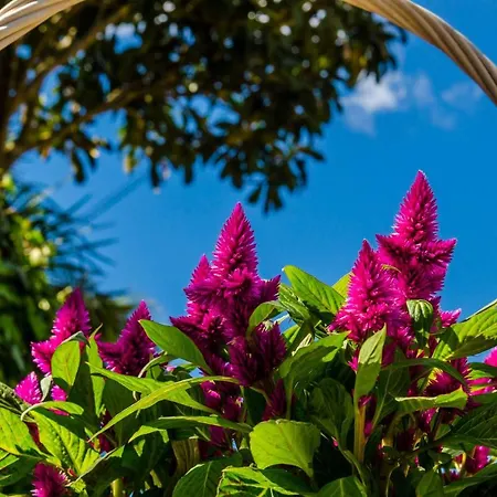 Appartement Bay Of Dreams