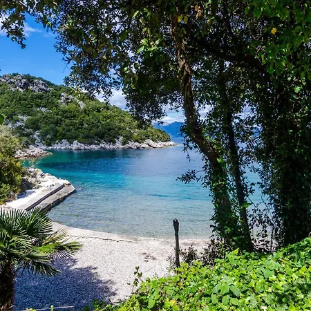 Bay Of Dreams * Janjina